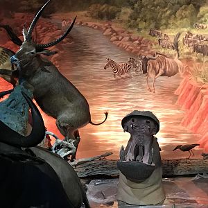 Warren Wildlife Gallery