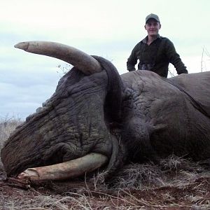 South Africa Hunting Elephant