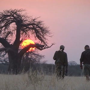 Custodians of Wilderness Tanzania