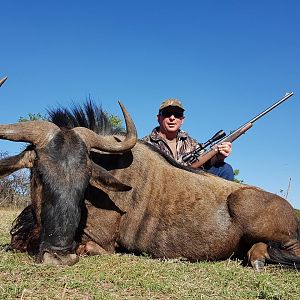 South Africa Blue Wildebeest Hunting