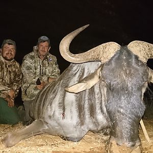 South Africa Blue Wildebeest Hunting