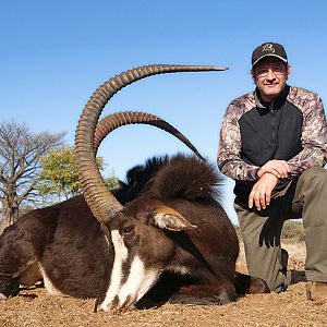 Hunt Sable Antelope South Africa