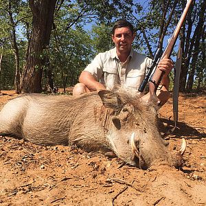 South Africa Warthog Hunt