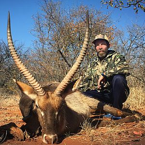 Waterbuck South Africa Hunt