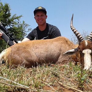 Hunting Blesbok South Africa