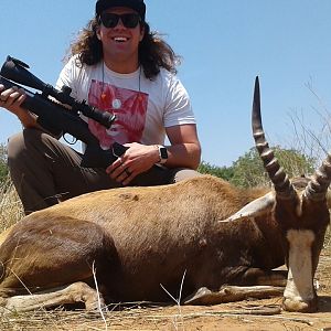 Hunting Blesbok South Africa