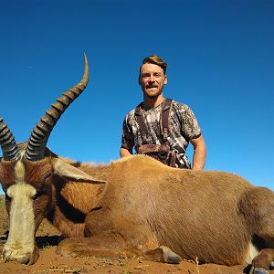 Hunting Blesbok South Africa