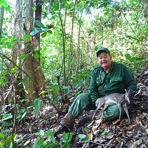 Congo Blue Duiker Hunt