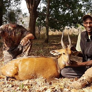 Bushbuck Tanzania Hunting