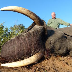 Hunting Elephant in Zimbabwe