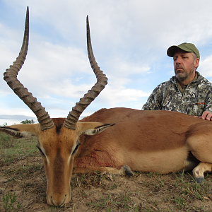 Hunting Impala