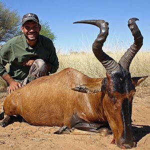 AH member with wide bull Hartebeest