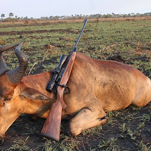 R&W Lichtenstein Hartebeest Coutada 14 Mozambique