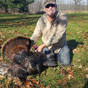 Turkey Bird Hunt Texas