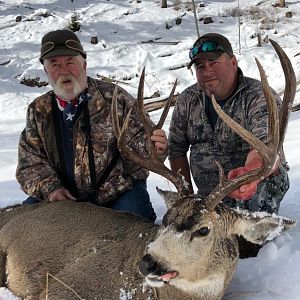 Hunting Mule Deer