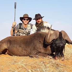 Black Wildebeest Hunt Namibia