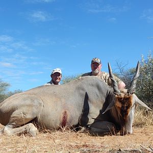 Eland Hunt Namibia