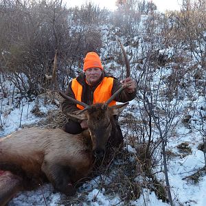 Guided Elk Hunt USA