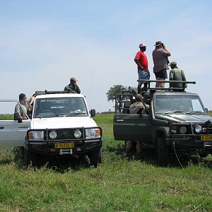 Namibia Hunting Cape Buffalo