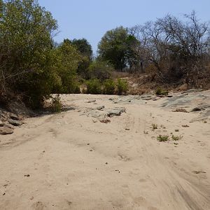 Hyena Hunt In Zimbabwe