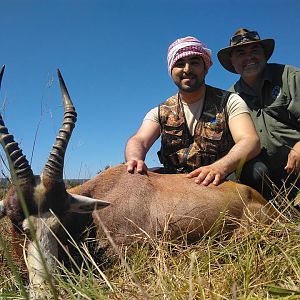 Hunting Blesbok in South Africa