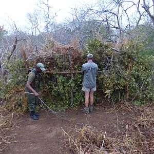 Building a Leopard Blind