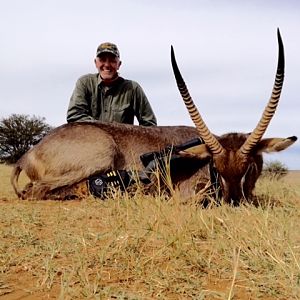 Waterbuck near Rustenberg SA