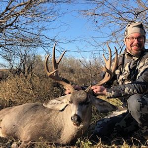 Hunting Mule Deer