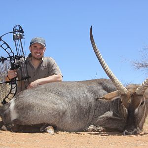 South Africa Bow Hunting Waterbuck