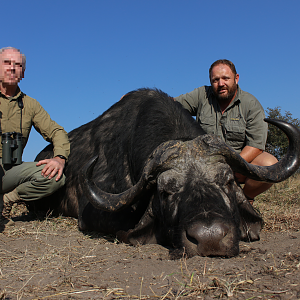 Cape Buffalo Hunt