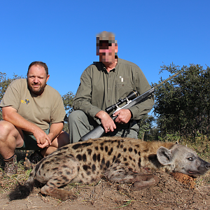 Spotted Hyena Hunt