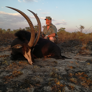 Hunting Sable Antelope