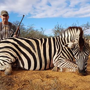 South Africa Hunt Burchell's Plain Zebra