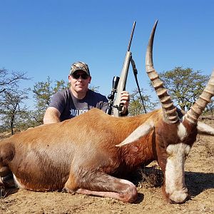 Blesbok Hunt in South Africa