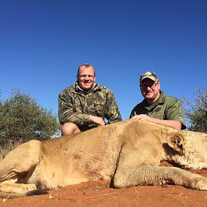 Lion Hunting in South Africa