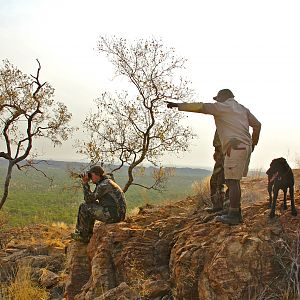 Glassing Game South Africa Limpopo