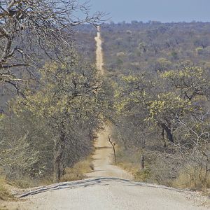 Mpumalanga South Africa