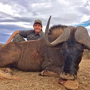 Black Wildebeest Hunting Eastern Cape South Africa