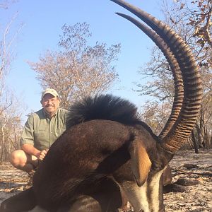 Sable Antelope Hunting Zimbabwe