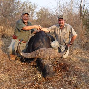 Zimbabwe Hunt Cape Buffalo