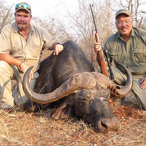 Cape Buffalo Hunt Zimbabwe