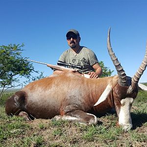 Blesbok Hunt in  South Africa