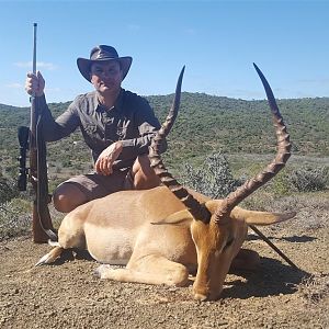 South Africa Hunt Impala