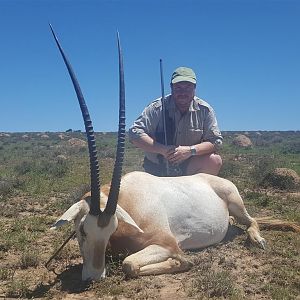 Scimitar Oryx Hunt in South Africa