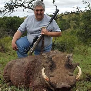 South Africa Hunt Warthog