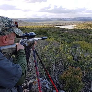 Hunting with Shooting Stick