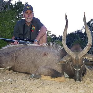 Hunt Nyala South Africa