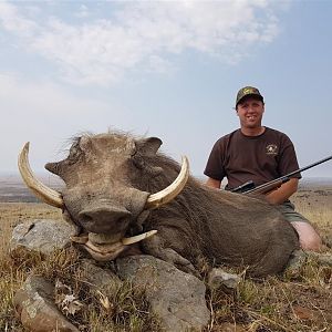 South Africa Hunt Warthog