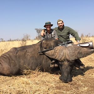 Cape Buffalo Hunting in Zimbabwe