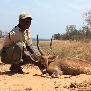 Bushbuck Hunting in Zimbabwe